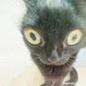 Meet your Posher, Ismellpennies